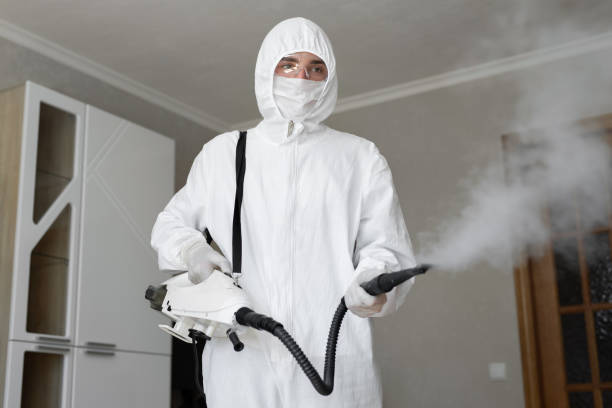  , USA Mold Removal Pros